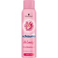Schwarzkopf, Schauma My Darling, suchy szampon do włosów normalnych, 150 ml&nbsp;-&nbsp;Schwarzkopf