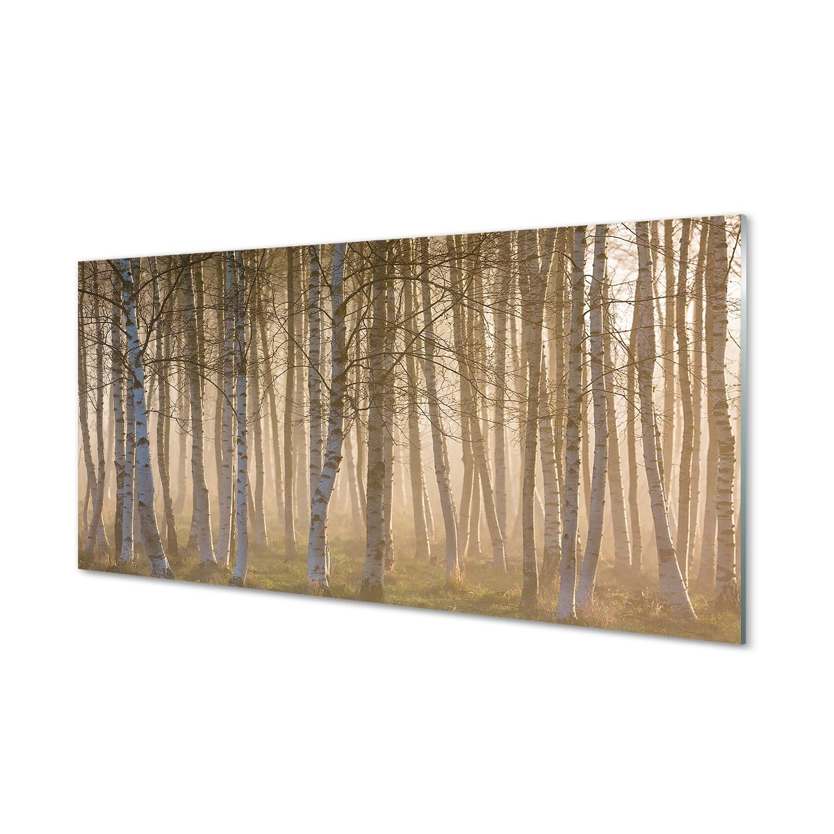 Ścienny panel Wschód słońca las drzewa 120x60 cm