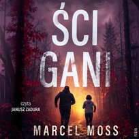 Nowości i bestsellery audiobooki