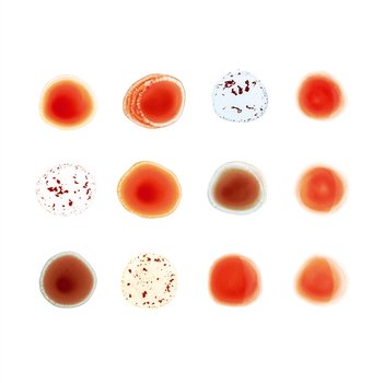 Scratch My Back / And I'll Scratch Yours - Peter Gabriel, Various Artists