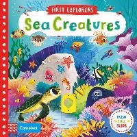 Sea Creatures Macmillan Children's Books