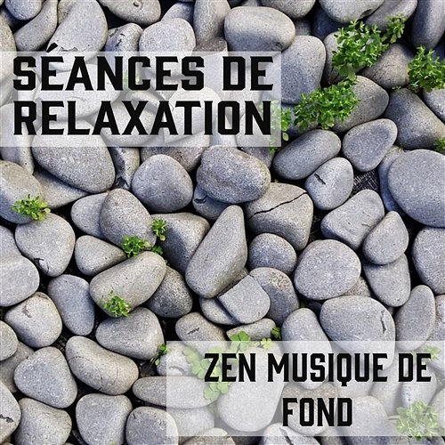 Musique de relaxation zen - Musique de Relaxation