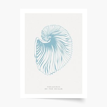 Seashells blue Plakat Premium 40x60 - Empik Foto