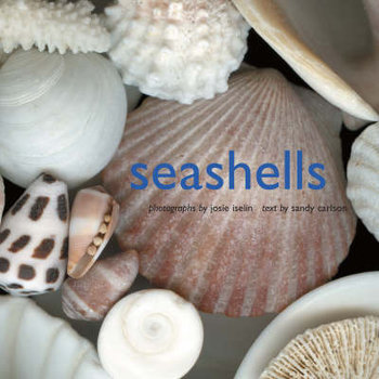 Seashells - Carlson Sandy