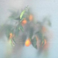 Secret Garden µ-Ziq & Mrs Jynx