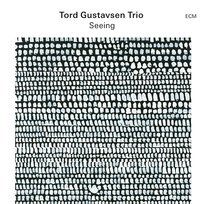 Seeing Tord Gustavsen Trio