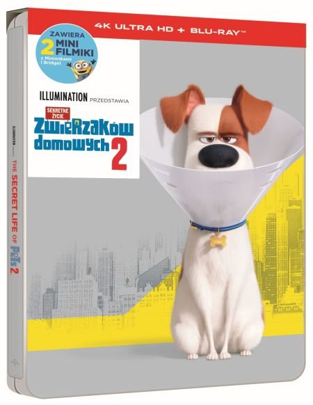 Sekretne życie zwierzaków domowych 2 4K - Renaud Chris| Filmy Sklep
