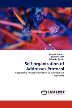 Self-organization of Addresses Protocol - Schmidt Ricardo
