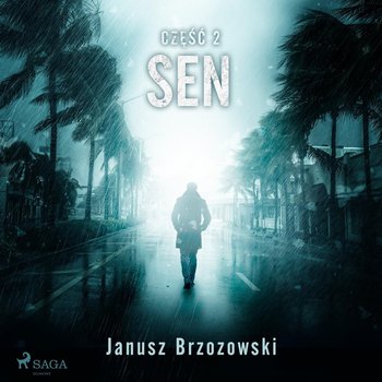 Sen - Brzozowski Janusz