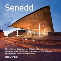 Senedd - Fishlock Trevor