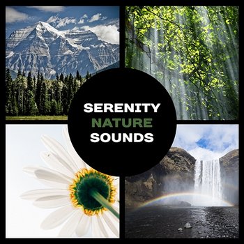 Serenity Nature Sounds – Gentle Relaxation Music, Total Looseness, Meditation in Garden Zen, Beautiful Oasis of Peace, Deep Sleep - Serenity Nature Sounds Academy