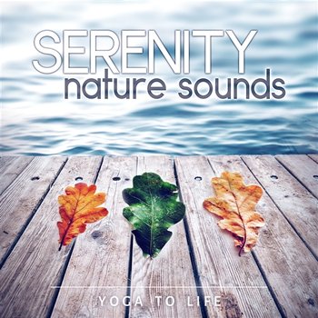 Serenity Nature Sounds: Yoga to Life - Healing Therapy Music for Find Your Inner Peace and Meditation - Buddha Music Sanctuary