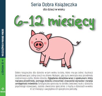 Seria Dobra Książeczka. 6-12 miesięcy - Starok Agnieszka