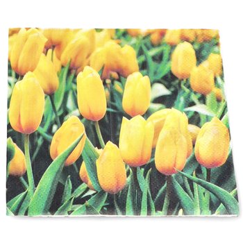 Serwetki papierowe jednorazowe kwiaty tulipan - PAW