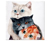 Klienci, których interesował ten produkt, oglądali też