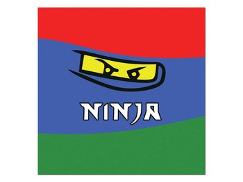 Serwetki urodzinowe Ninja - 33 cm - 20 szt. - Congee.pl