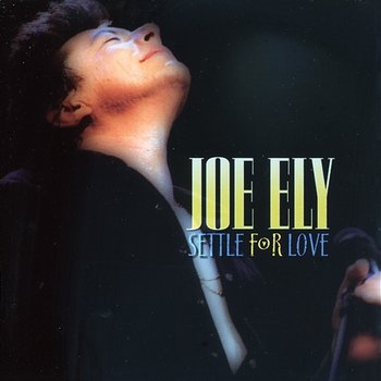 Settle For Love - Joe Ely