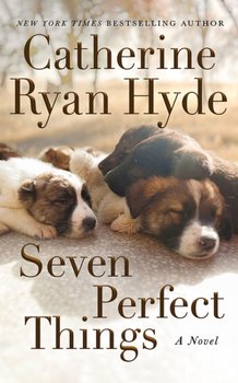 Seven Perfect Things: A Novel - Hyde Catherine Ryan