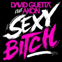 Sexy Bitch David Guetta feat. Akon