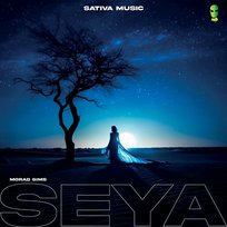 Seya SativaMusic, Gims, Morad