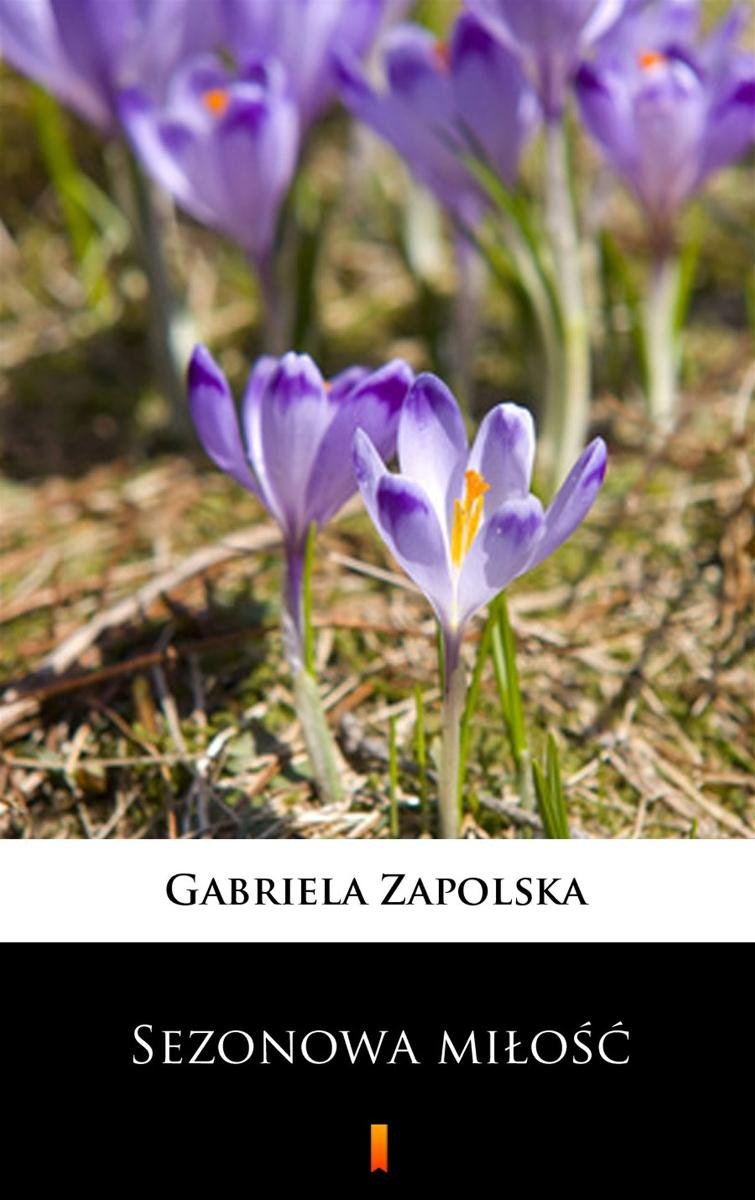 Sezonowa miłość - ebook mobi