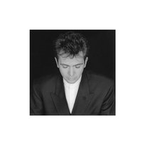 Shaking The Tree - 16 Golden Greats Peter Gabriel