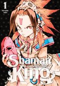 Shaman King. Tom 1&nbsp;-&nbsp;Takei Hiroyuki