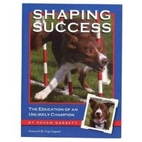 Shaping Success Garrett Susan