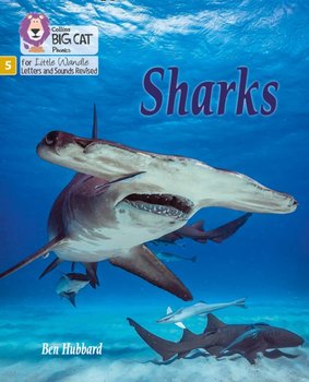 Sharks: Phase 5 - Hubbard Ben