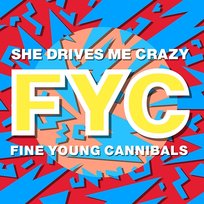 She Drives Me Crazy Fine Young Cannibals
