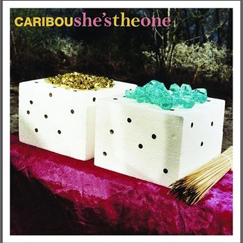 She's The One - Caribou