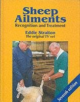 Sheep Ailments Straiton Eddie