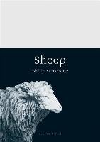 Sheep - Armstrong Philip