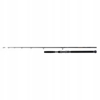Shimano BeastMaster AX Catfish Vertic Spin 185cm 200g wędka Shimano