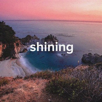 Shining - Desmond Baldessari