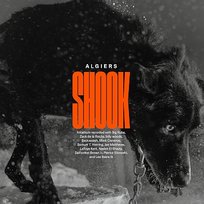 Shook Algiers