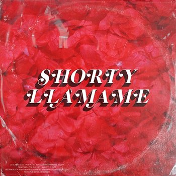 Shorty Llámame - NANO Mz