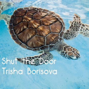 Shut the Door - Trisha Borisova