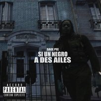 Si Un Negro a Des Ailes Sage Pee
