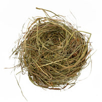 Klienci, których interesował ten produkt, oglądali też