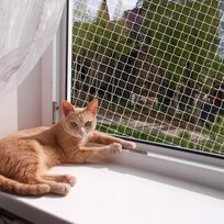 Siatka Ochronna Dla Kotów 8X3M Na Okna I Balkon Trwała I Bezpieczna Ochrona Inny producent