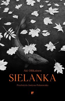 Sielanka - Aki Ollikainen