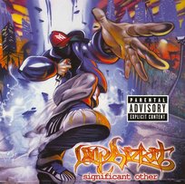 Limp Bizkit / New Old Songs（2LP）レコード Limp Bizkit – New Old Songs 