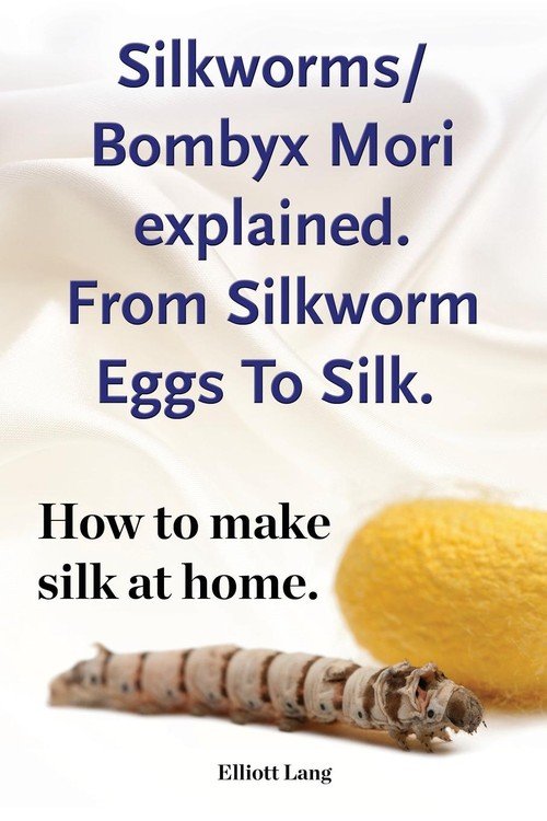 Silkworm/Bombyx Mori explained. From Silkworm Eggs To Silk. How to make