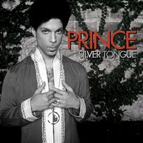 Silver Tongue Prince