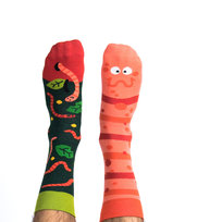 Skarpetki damskie Willy Wormka 36-39