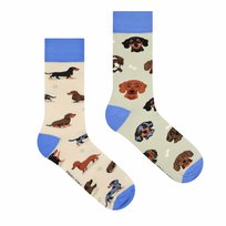 Skarpetki Jamniki Psy 44-46 Spox Sox