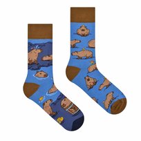 Skarpetki Kapibary 40-43 Spox Sox