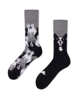 Skarpety z psami - Black Dog - Many Mornings 35-38 Many Mornings