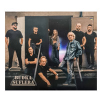 Skaza, płyta winylowa